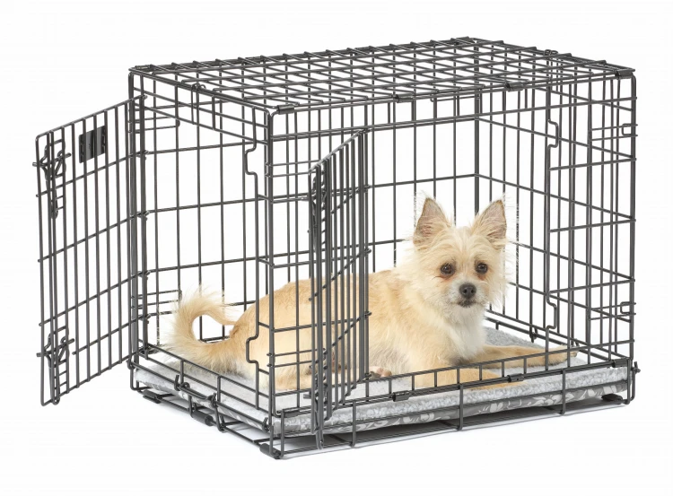 PC24-GF_724UP_dog_fleece.jpg