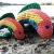 rainbow1_800x.webp