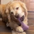 shoplife3_800x.webp