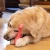 shoplife8_800x.webp