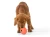 RUMBL_MELON_DOG_EATING.webp