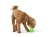 RUMBL_JUNGLE-GREEN_OLLIE_EATING.webp