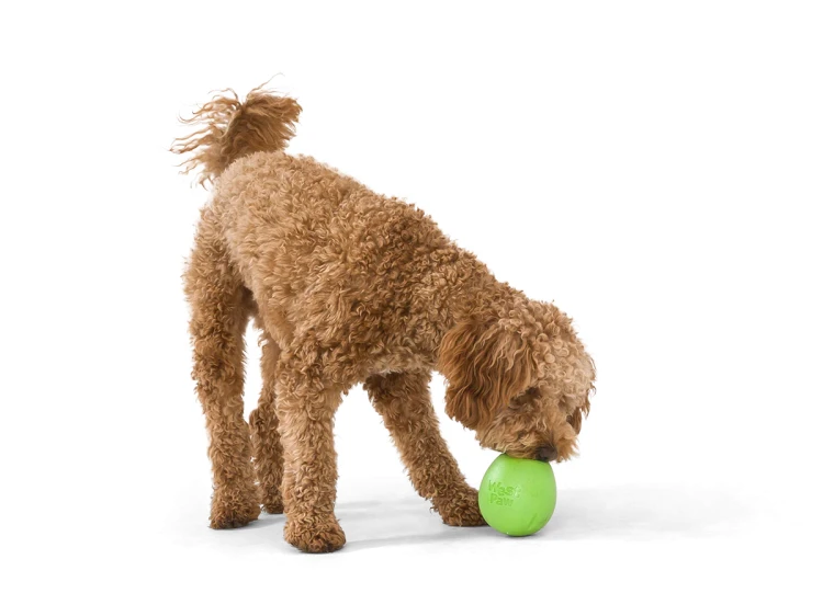 RUMBL_JUNGLE-GREEN_OLLIE_EATING.webp