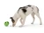 RUMBL_JUNGLE-GREEN_DOG_EATING.webp