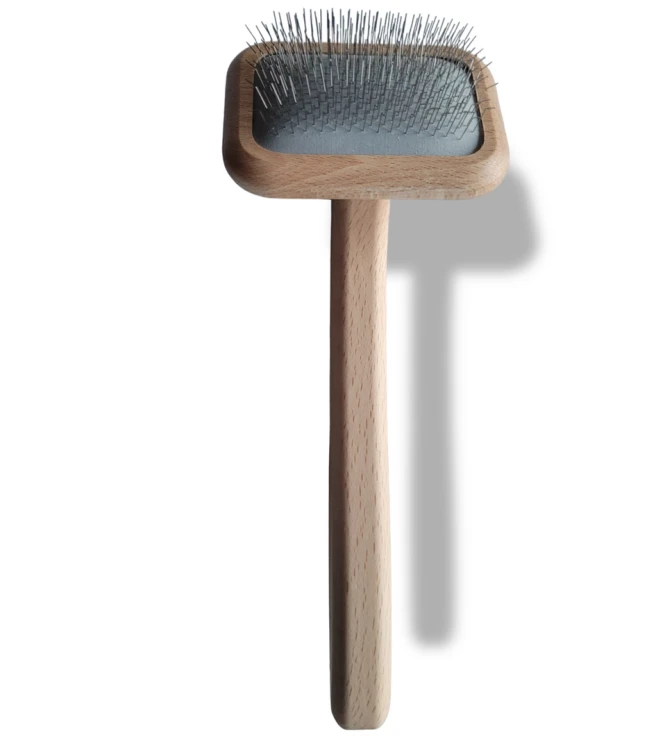 2045240835.png