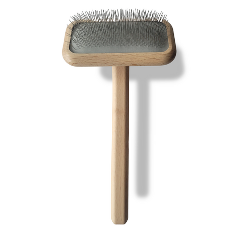 2045241051(1).png
