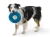 SF031_SAILZ_SURF_DOW2.webp