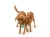 SF051EMD_SNORKL_13.webp