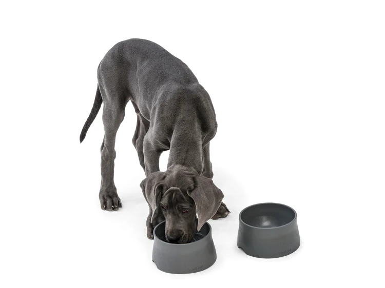 HA001SEF-HA020SEF_BOWL-MAT_37.webp