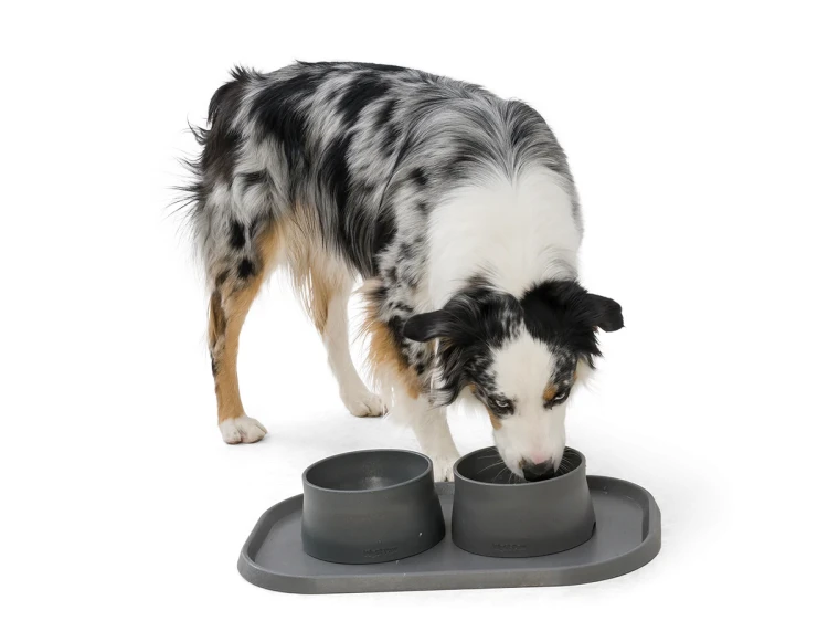 HA001-HA002_BOWL-MAT_SEAFOG_DOW.webp