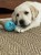 IMG_0078.jpeg