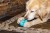 IMG_0077.jpeg
