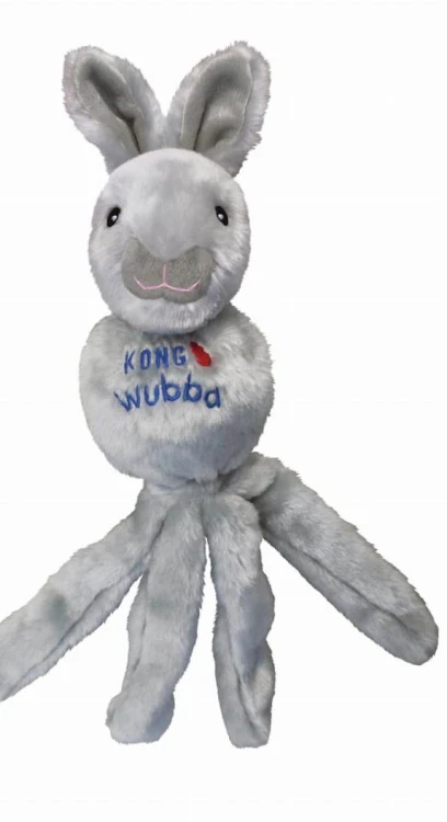 królik