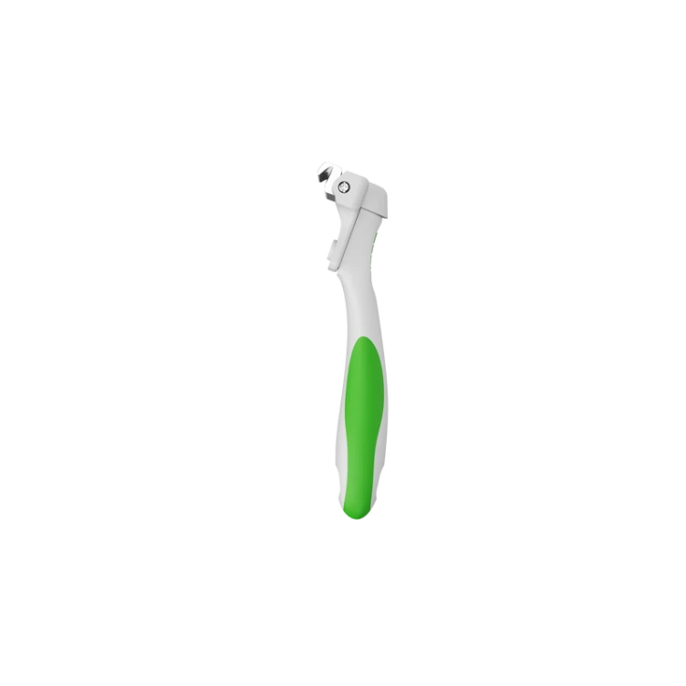 IMG_0244.png