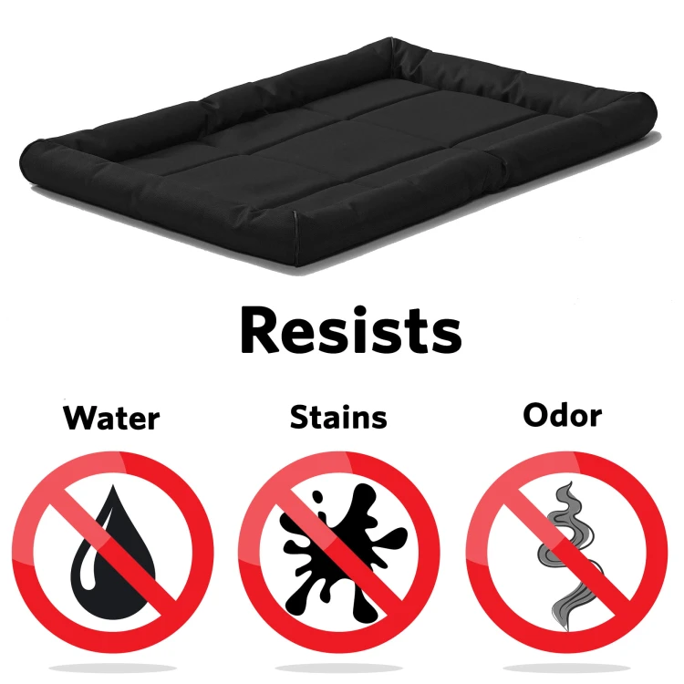 Black resists.jpg
