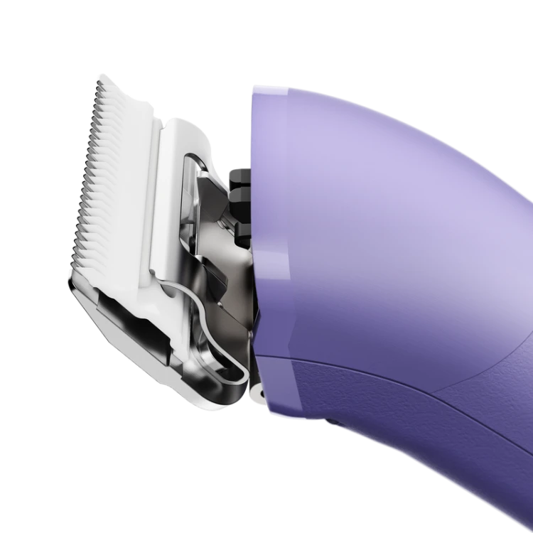 560498-emerge-clipper-purple.png
