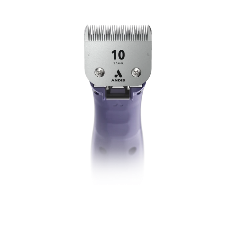 560498-emerge-clipper-purple-rdlc-1-.png