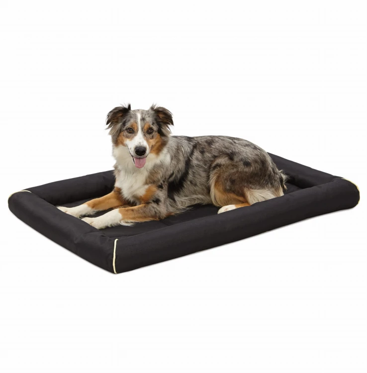 40542-BK_dog.jpg