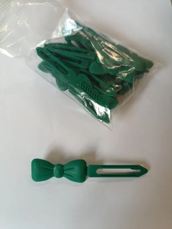 image000002 2.jpeg