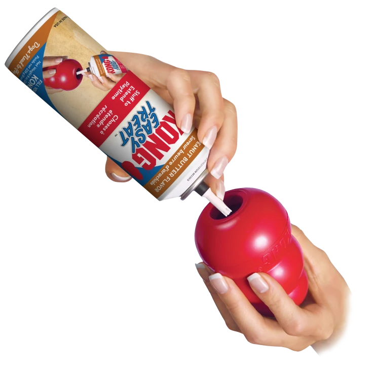 XS2_EDU_1.png