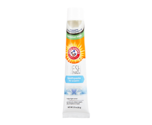 AH_-Toothpaste-Puppy_1.png