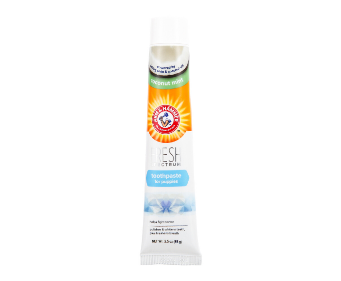 AH_-Toothpaste-Puppy_1.png