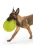 25817.webp