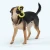 BumiPDPImage5.webp