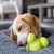 Tux_PDP_Image_12.webp