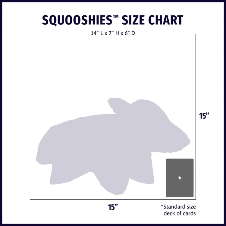 HH-SizeChart-Squooshies.webp
