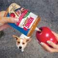 Przysmak Stuff'N All Natural Peanut Butter- marki KONG