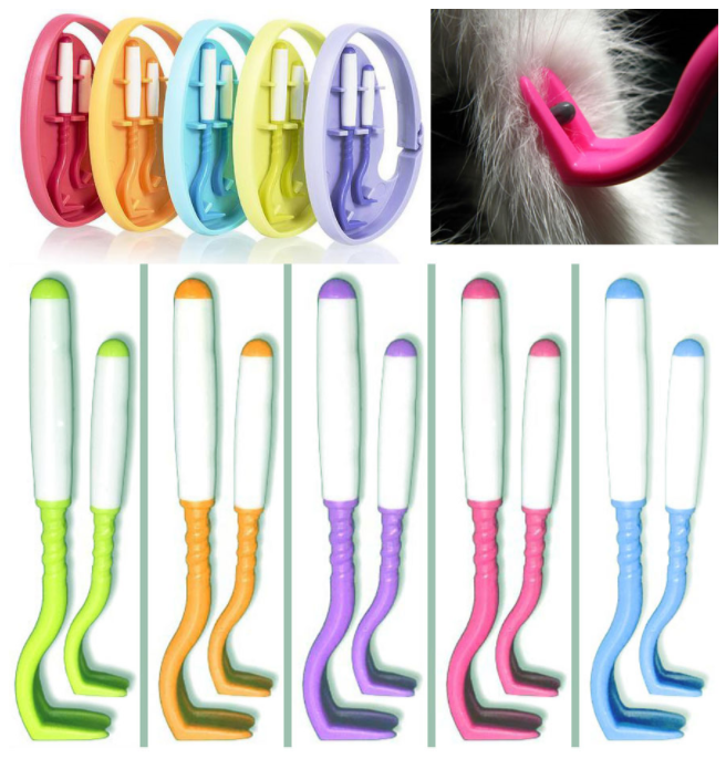 6094.jpg