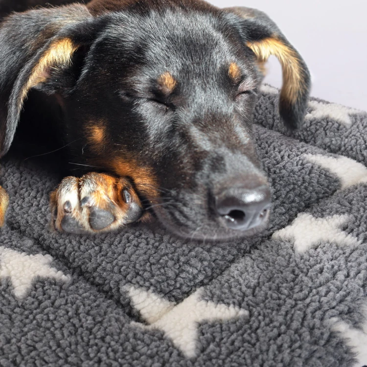 Petlife-Graphic-Assets-Crate-Mat-lifestyle-left.jpg