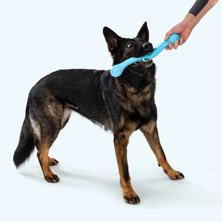 Zwig_PDP_Image_4.webp