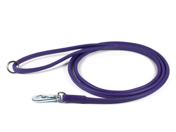 14625_violet_4x150_leash_BGB-600x450.jpg