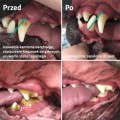 Cleany Teeth - ultradźwiękowa szczoteczka do zębów psów, zestaw startowy - model 2024
