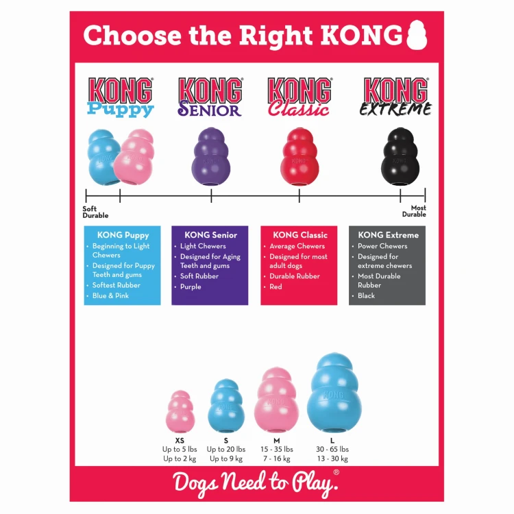 KP1E (4).jpg