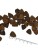 dog-hypoallergenic-25kg (1).jpg