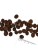 bwild-dog-adult-dzik-12kg (1).jpg