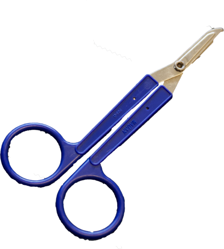 blue-scissors.png