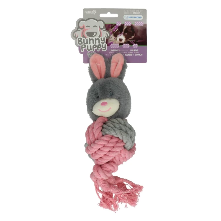 BUNN003-main.webp