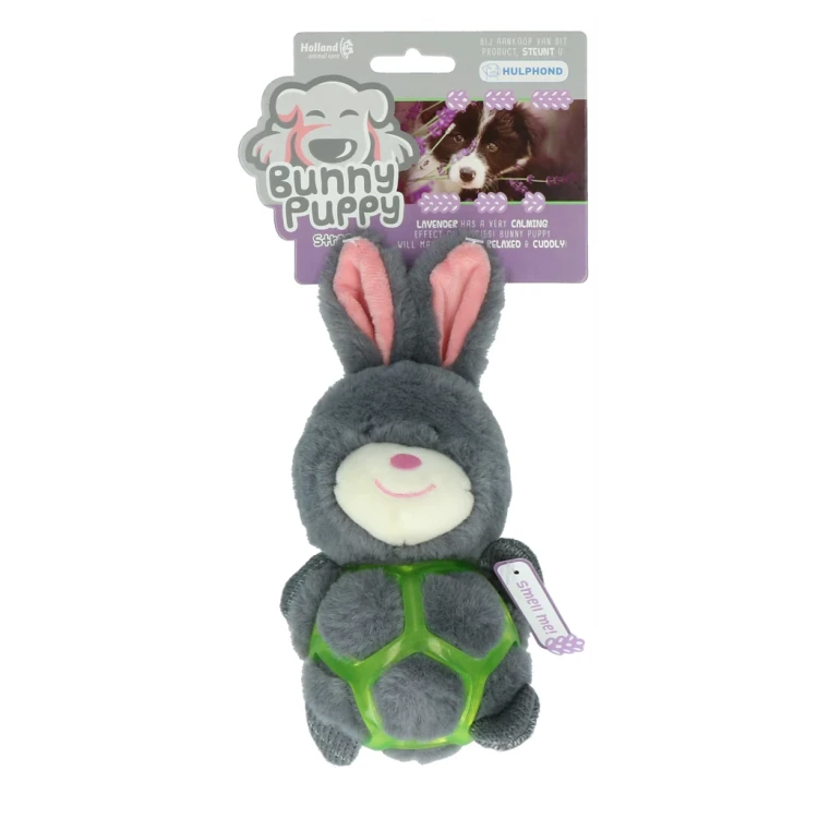 BUNN006-main.webp