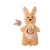 GROWL52042+2-main.webp