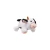 GROWL52046+3-main.webp