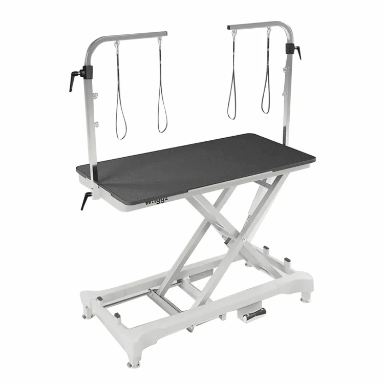 waggz-step-low-electric-dog-grooming-table.jpg