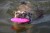 TPR-236_Zeppelin_Maxi_Pink_6.jpg