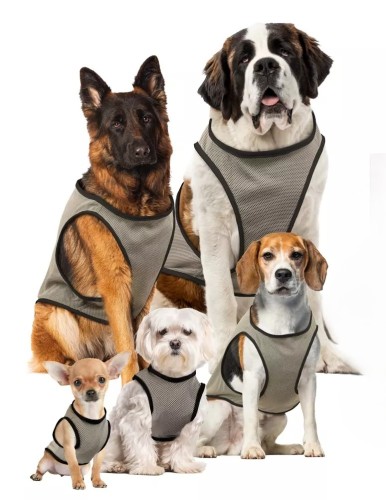 COOL034XS-XL-(Cooling-vest)-main.jpg