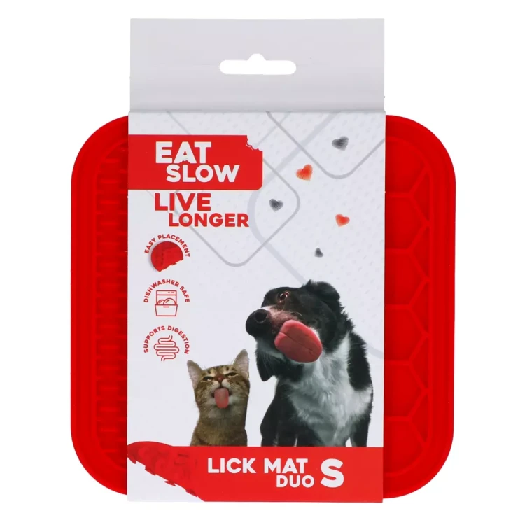 EATS062A-main.webp