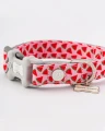 Obroża Pink Watermelon Fabric Tweed r. L – Różowa w arbuzy , Hugo & Hudson