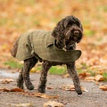 Obroża Tweed r. XS. krata ciemno zielona, Hugo & Hudson 